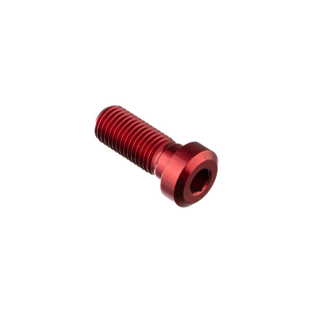 [LT-961NER] Special Screw M10 X 25 + Smooth Part D9,9 X 4 (Nero)