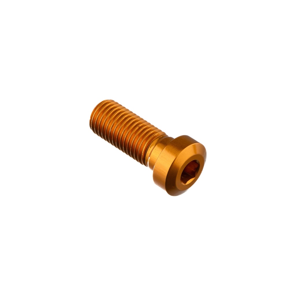 [LT-961ORO] Special Screw M10 X 25 + Smooth Part D9,9 X 4 (Oro)