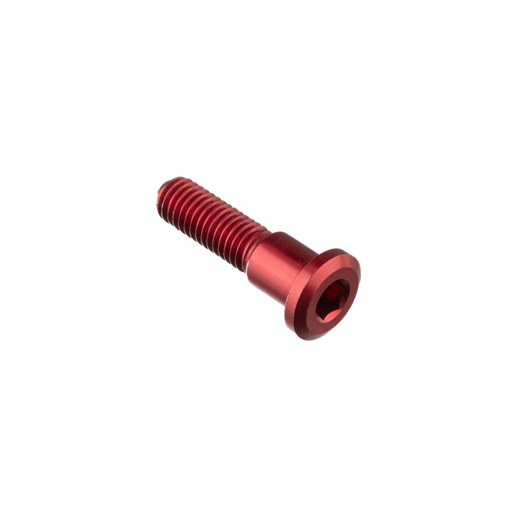 [LT-960NER] Special Screw M8 X 33 + Smooth Part D9,9 X 11 (Nero)