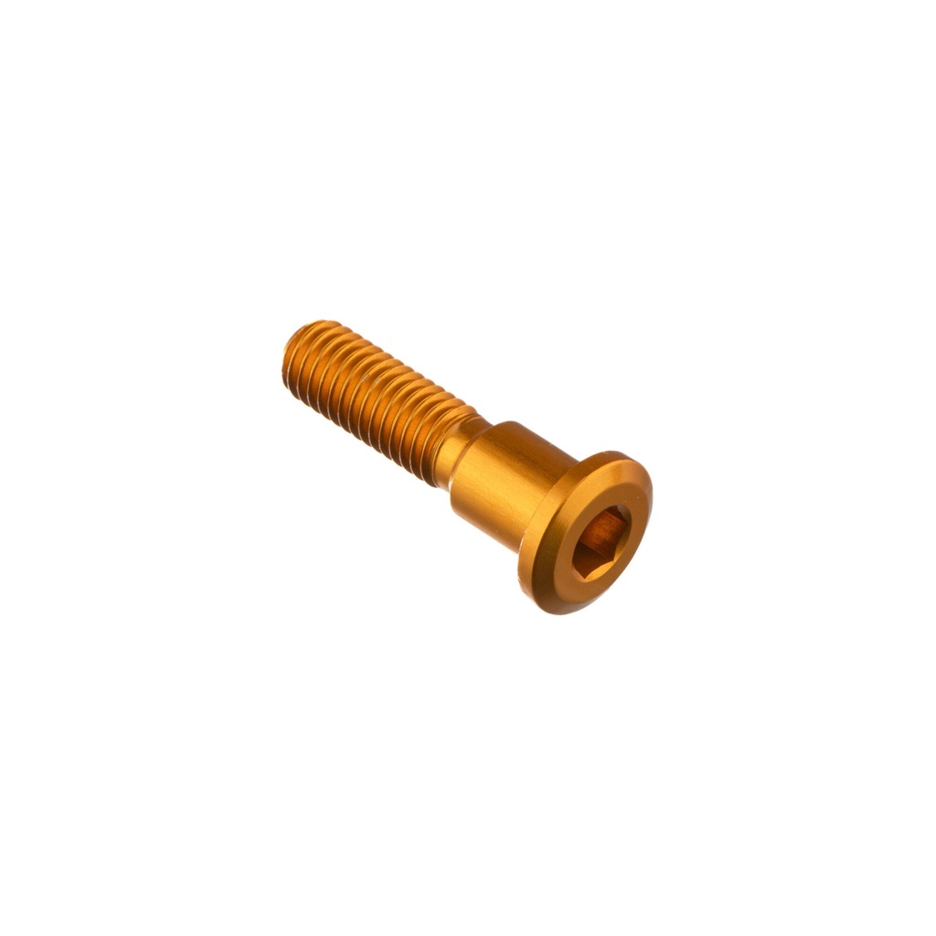 [LT-960ORO] Special Screw M8 X 33 + Smooth Part D9,9 X 11 (Oro)
