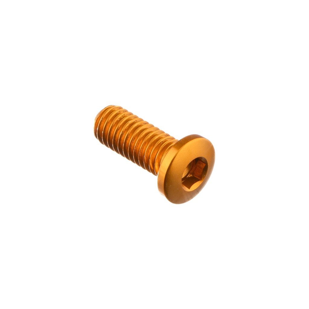 [LT-956ORO] Special Screw M6 X 15 (Oro)