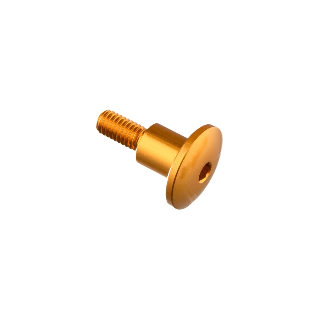 [LT-955ORO] Special Screw M6 X 23,5 + Smooth Part D9,9 X 11 (Oro)