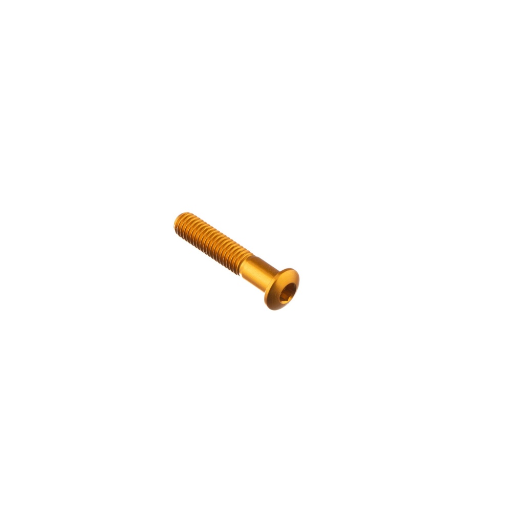 [LT-954ORO] Special Screw M6 X 30 + Smooth Part D6 X 9 (Oro)