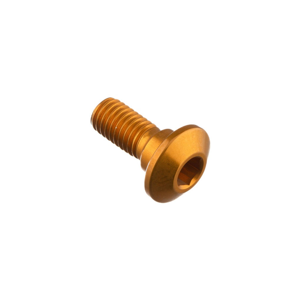 [LT-953ORO] Special Screw M8 X 20 + Smooth Part D9,9 X 5 (Oro)