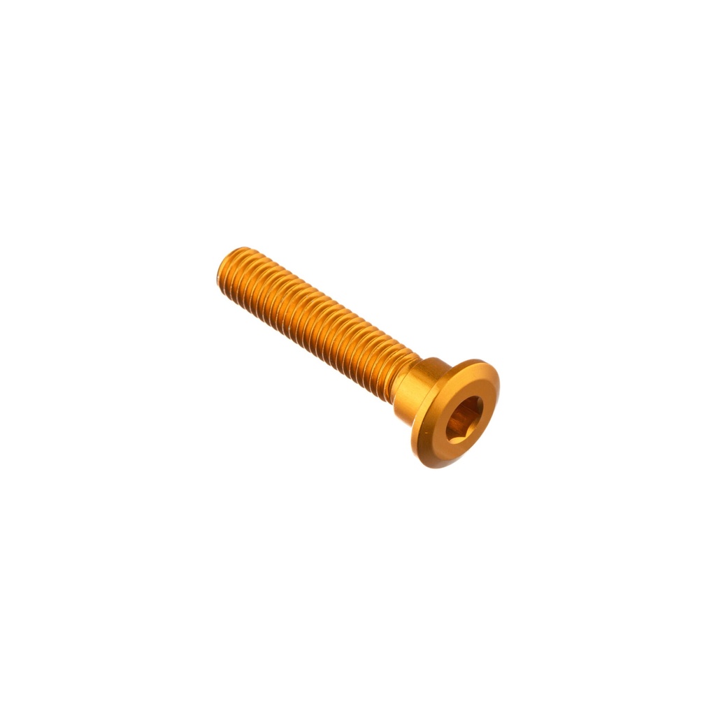 [LT-952ORO] Special Screw M8 X 41 + Smooth Part D9,9 X 6 (Oro)
