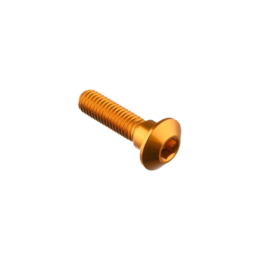 [LT-951ORO] Special Screw M8 X 31 + Smooth Part D10 X 6 (Oro)
