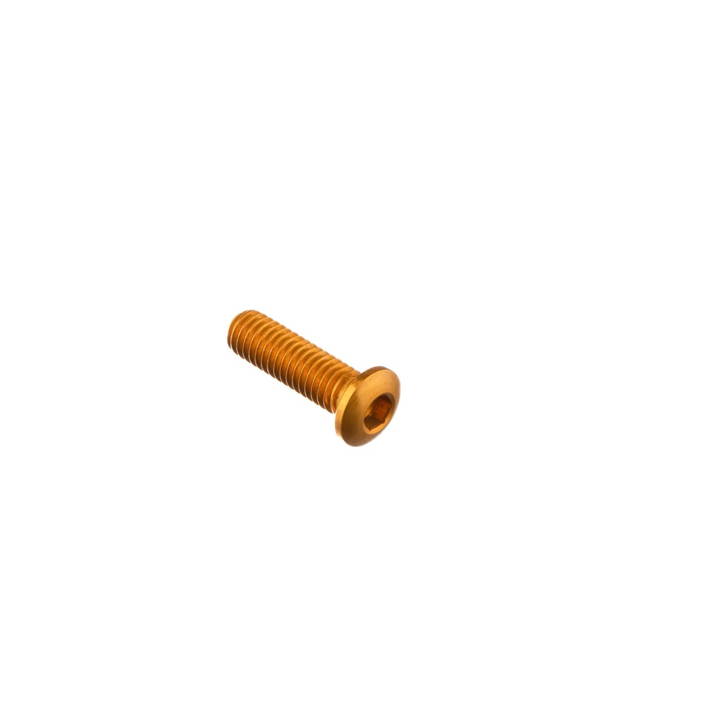 [LT-950ORO] Special Screw M6 X 20 (Oro)