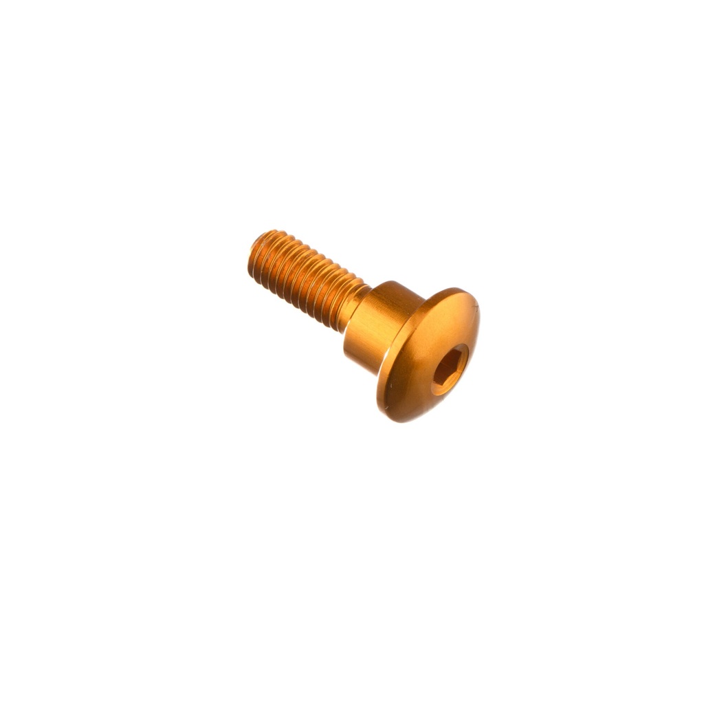 [LT-1031ORO] Vite Special T.B. M5x17 Testa D=12 (Oro)