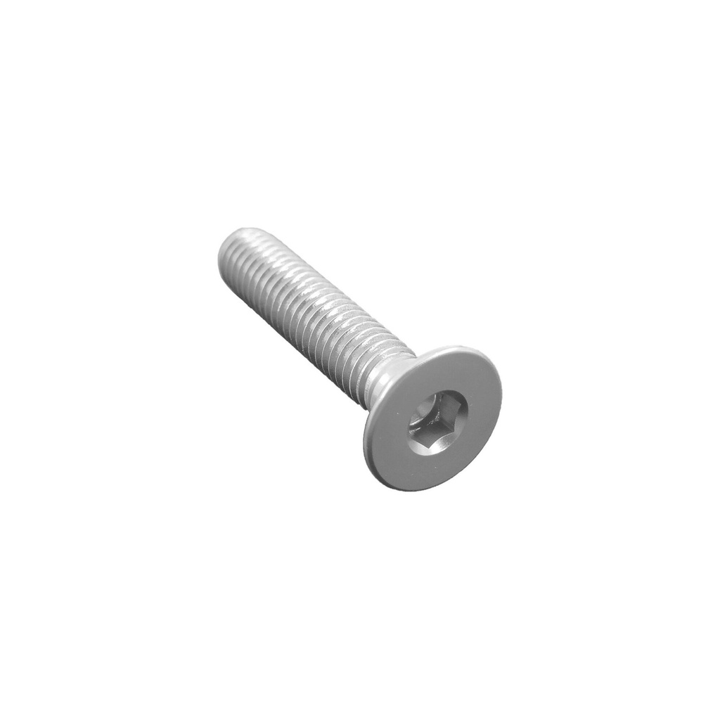 [LT-005M4010NER] Flat Head Ergal Cl 005 M4 L. 10 (Nero)