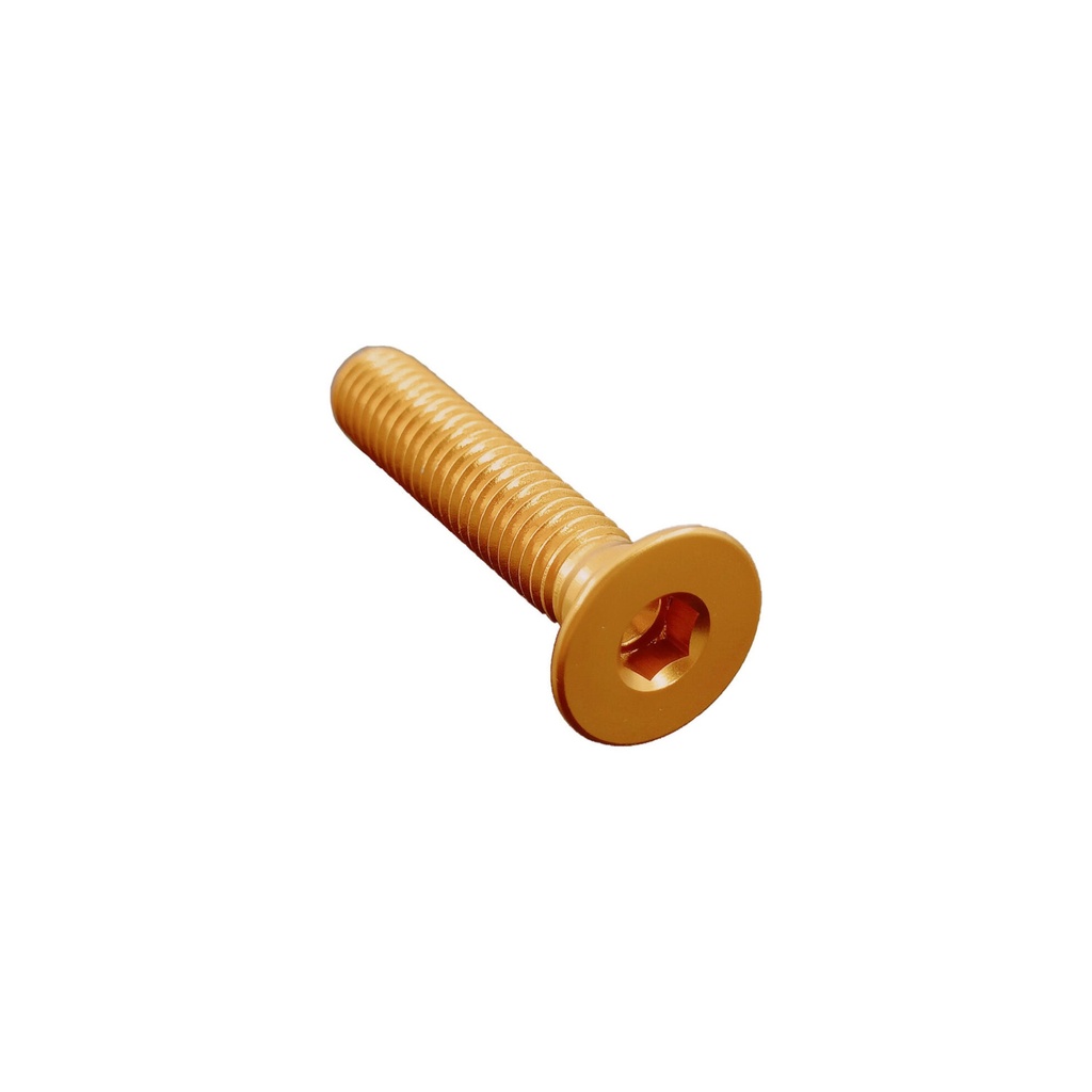 [LT-005M4010ORO] Flat Head Ergal Cl 005 M4 L. 10 (Oro)