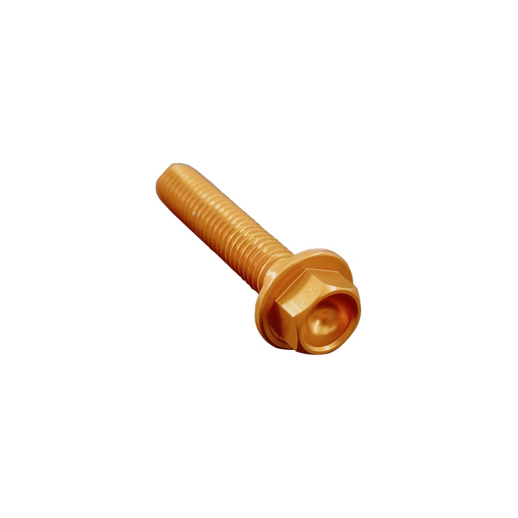 [LT-004M4015ORO] Hexagonal Head Ergal Cl 004 M4 L. 15 (Oro)