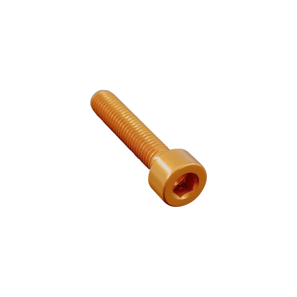 [LT-001M4025ORO] Socket Head Ergal Cl 001 M4 L. 25 (Oro)