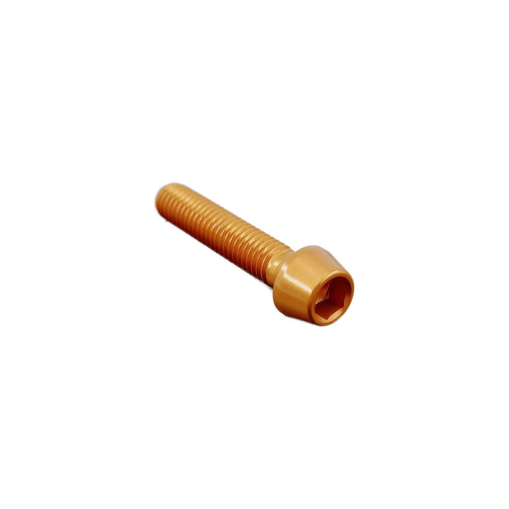 [LT-001M10040ORO] Socket Head Ergal Cl 001 M10 X 1,5 L. 40 (Oro)