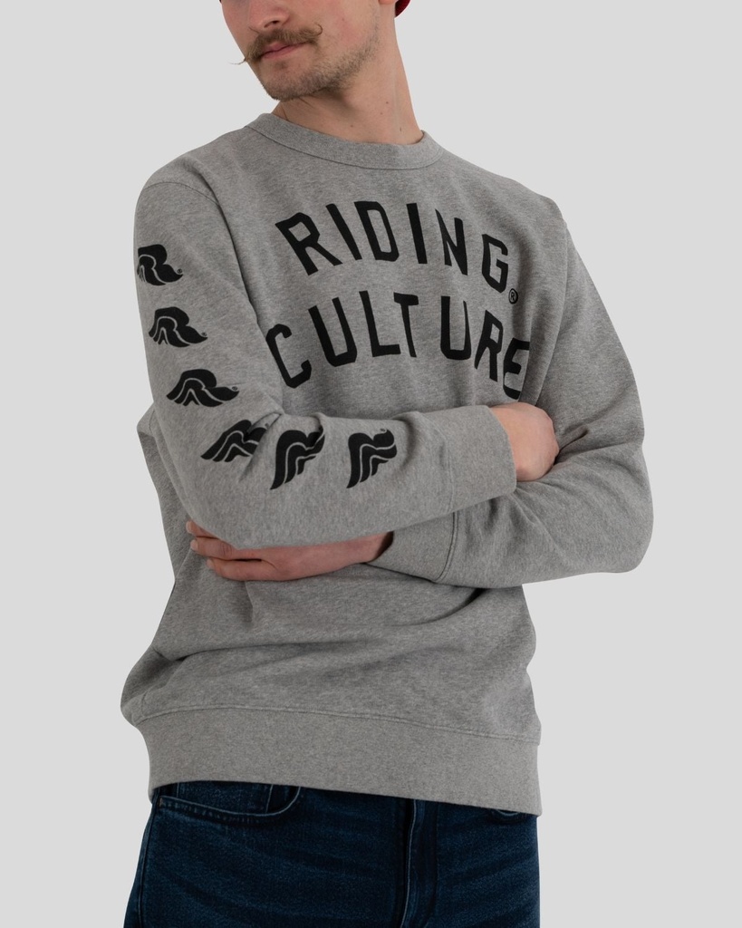 RC600515LogoSweaterGrey6.jpg