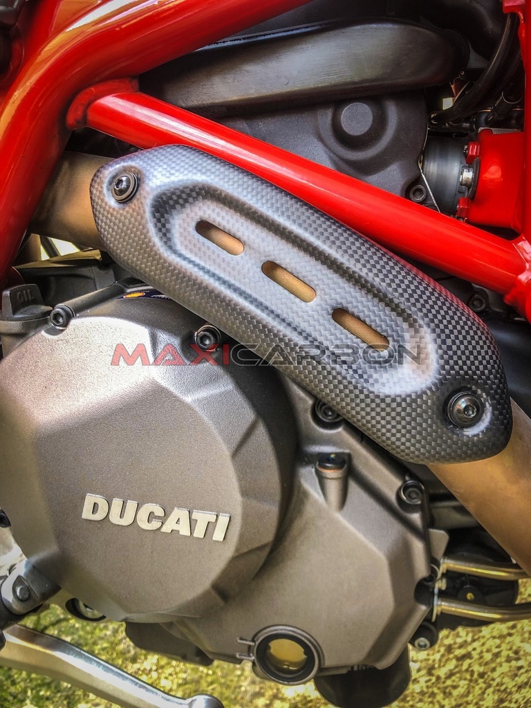 Ducati-Hypermotard-950-Maxicarbon-Alessia-1.jpg