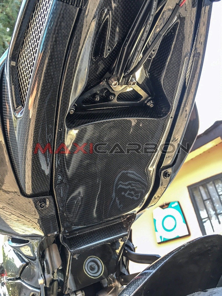 MV-Agusta-Brutale-1078-2001-Maxicarbon-Andrea-1.jpeg