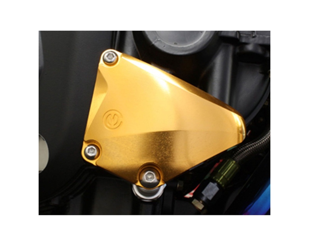 right-side-billet-crankcase-protection.jpg