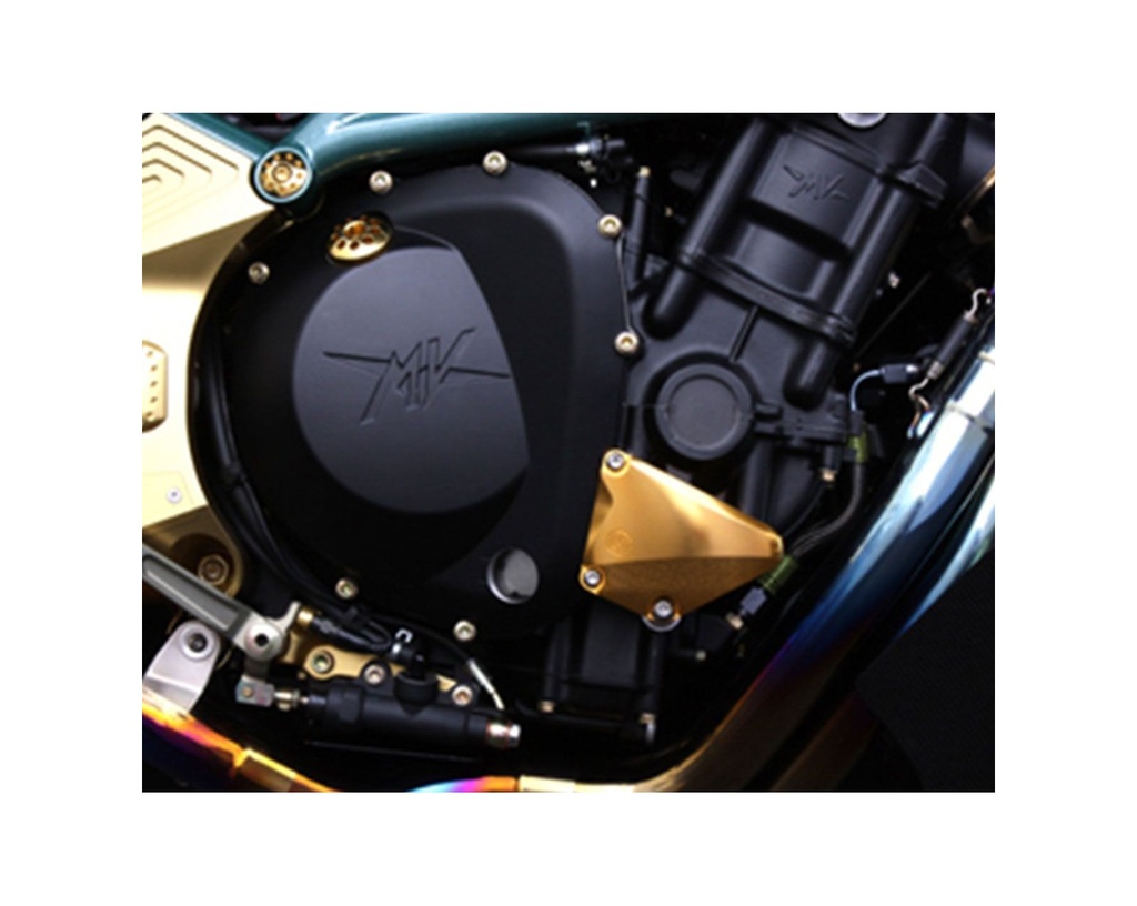 right-side-billet-crankcase-protection.jpg