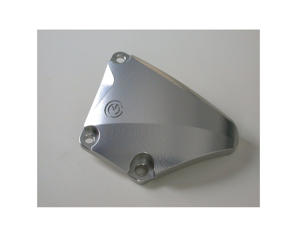 right-side-billet-crankcase-protection.jpg