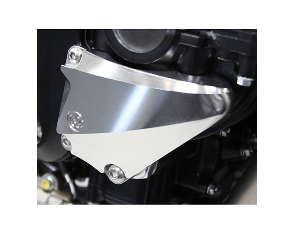 right-side-billet-crankcase-protection.jpg
