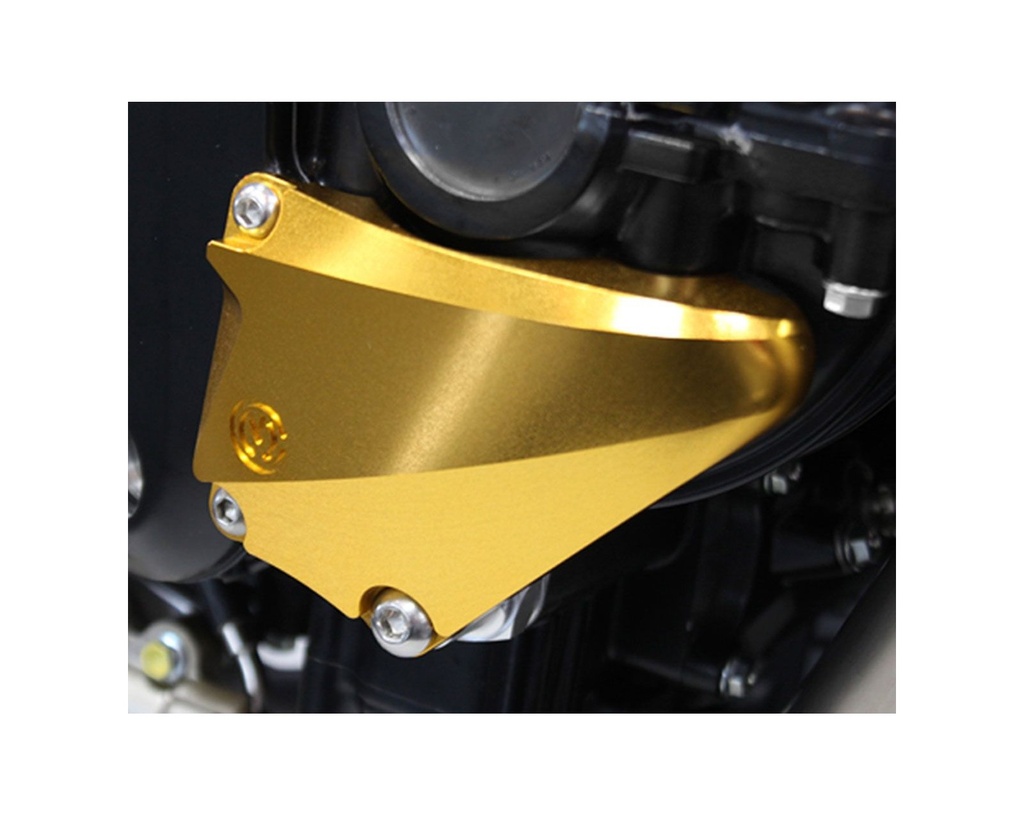 right-side-billet-crankcase-protection.jpg