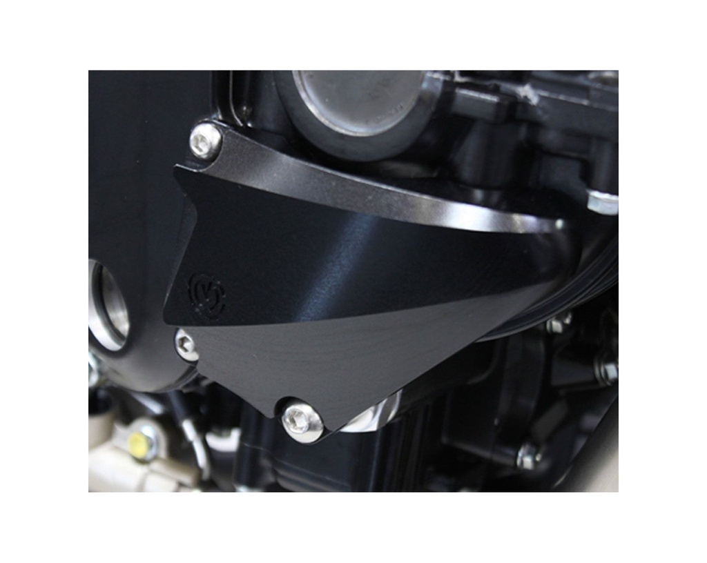 right-side-billet-crankcase-protection.jpg