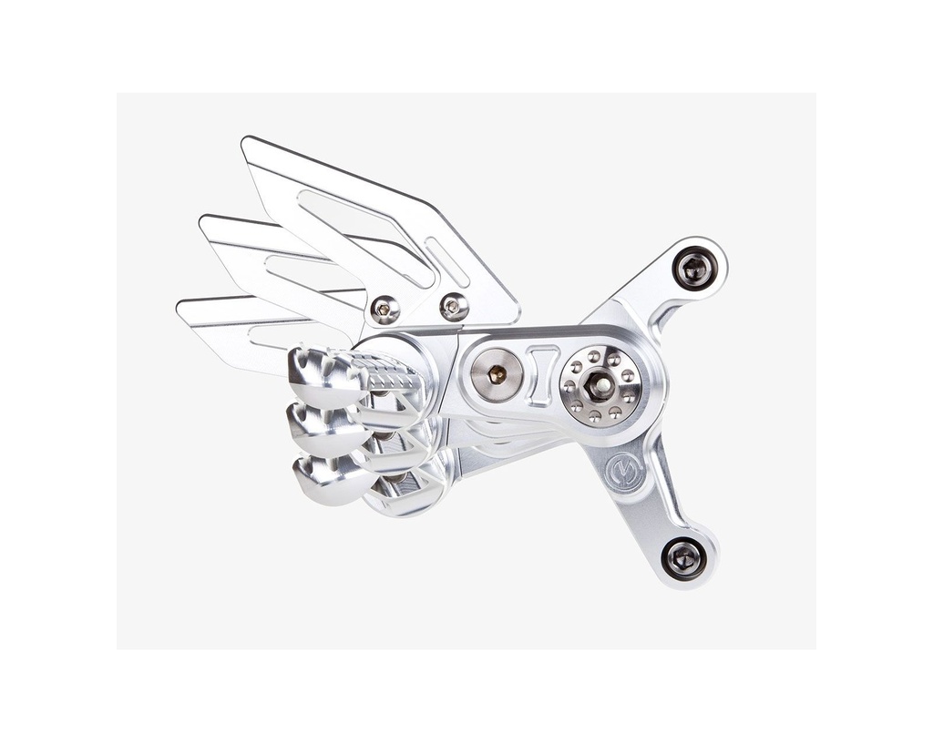 machined-from-solid-riding-adjustable-footpegs-kit-new-design-mv-agusta-f4-brutale.jpg