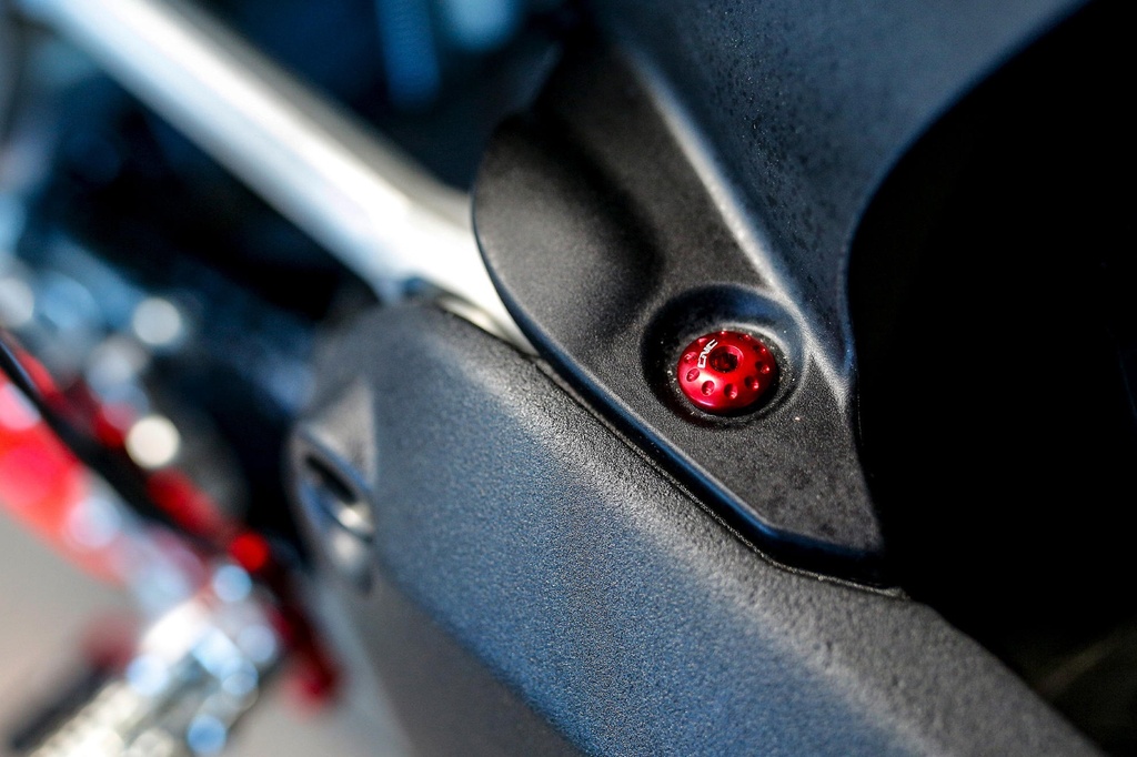 KV330R_Panigale959_02.jpg