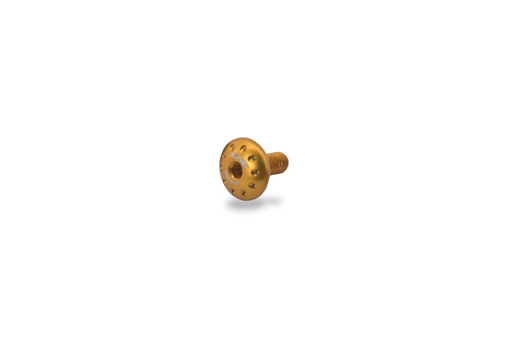 [CNC-KV342G] Screw chain sliding shoe MV Agusta (Gold)