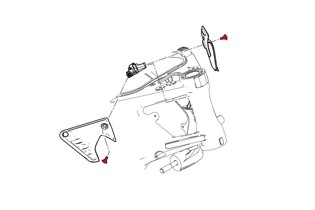 KV343_cannotto.jpg