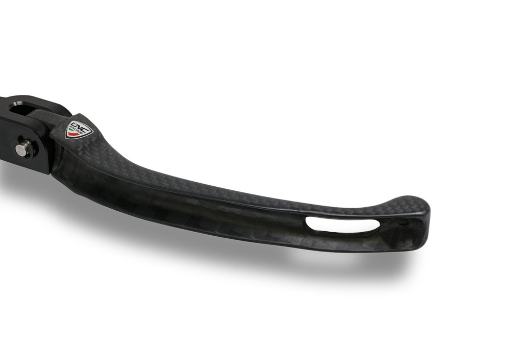 LBR-carbonio_771.jpg