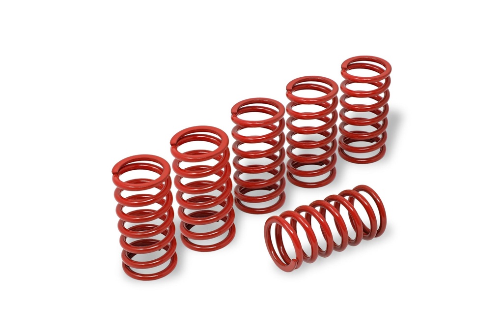 [CNC-MO345R] Clutch springs H45 - BMW (Red)
