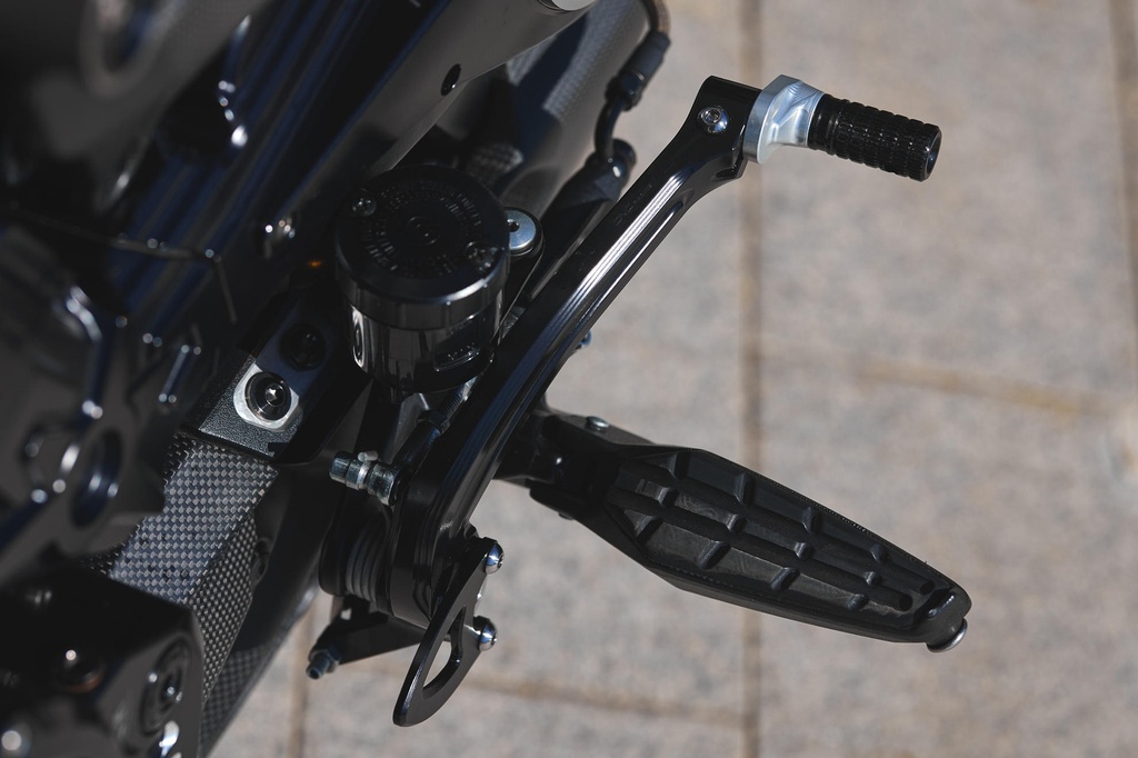 PEL06B_brake_mounted.jpg