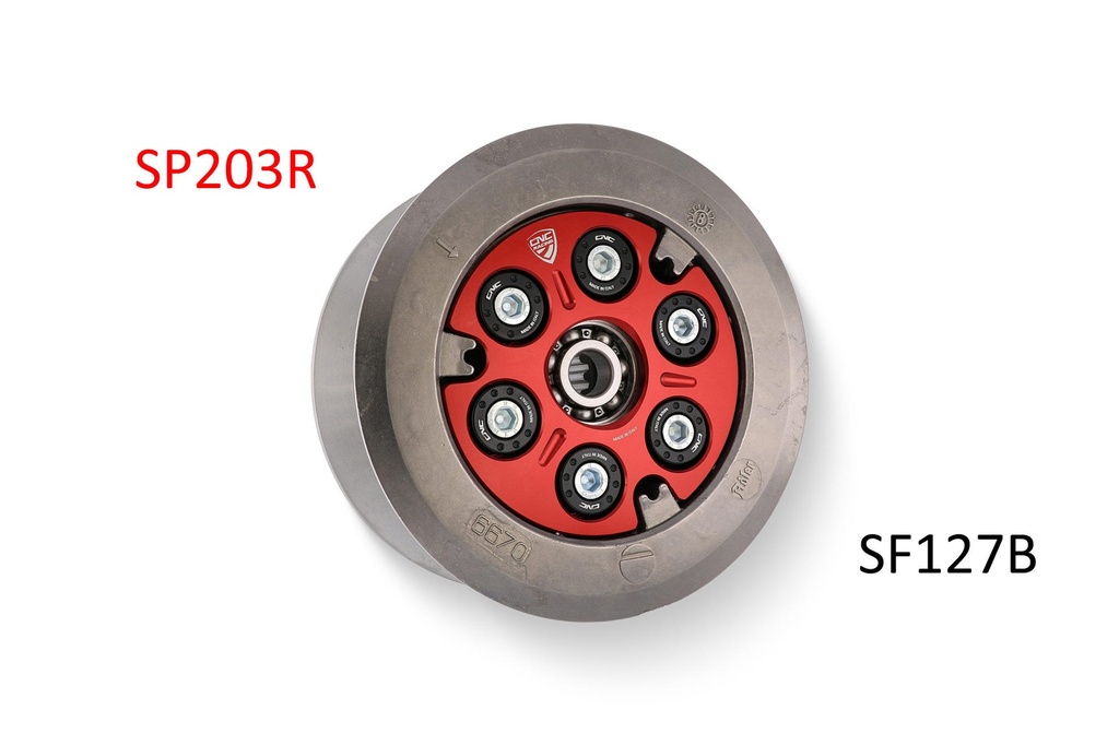 SP203R_SF127B.jpg