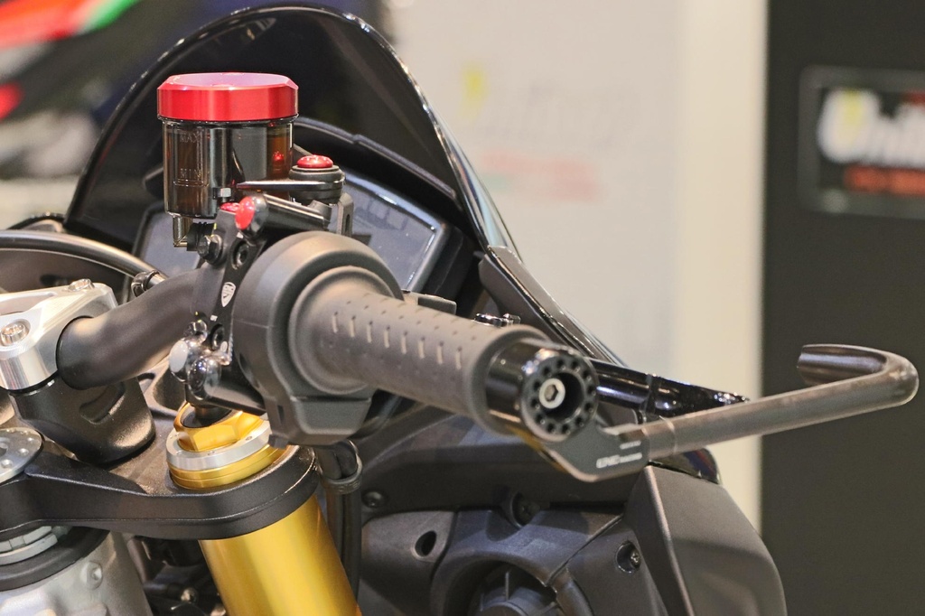 TF500R_Aprilia_Tuono_02.jpg