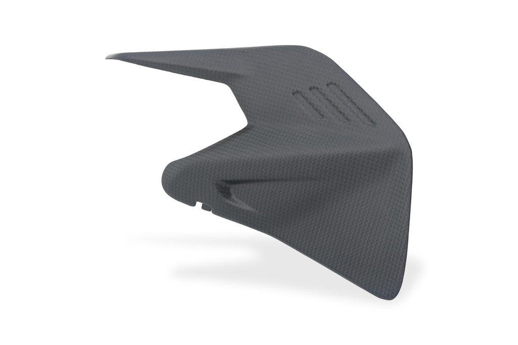 [CNC-ZA419Y] Swingarm cover Ducati Panigale V4 Streetfighter V4 MY2025 - Carbon