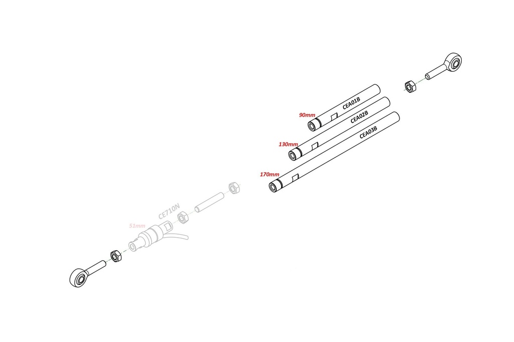 CEA_schema.jpg