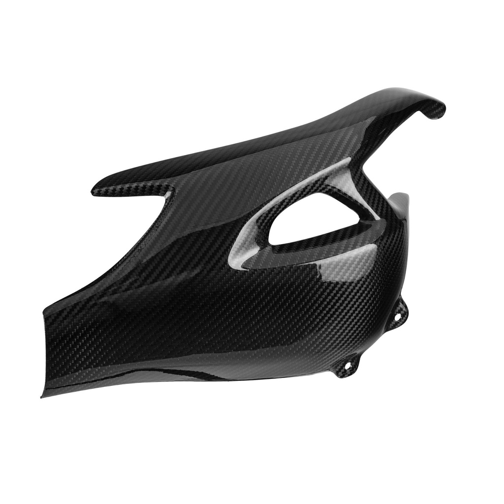 [LT-CART1260] Carbon Swingarm Protector for Triumph