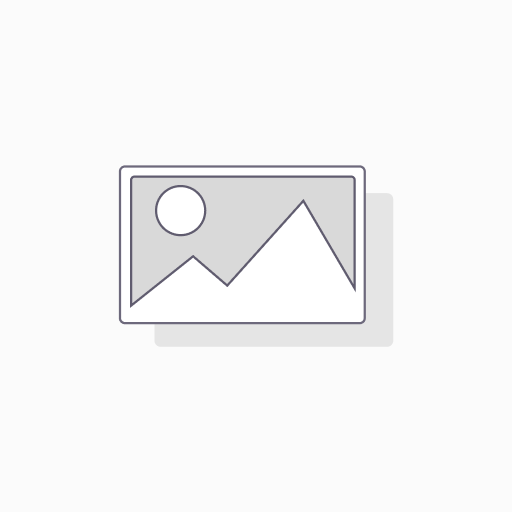 Assieme Leva Cambio